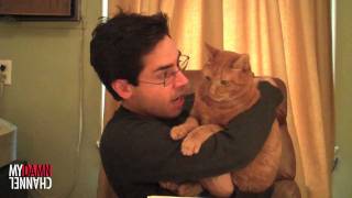CATS & IMPRESSIONS @markmalkoff