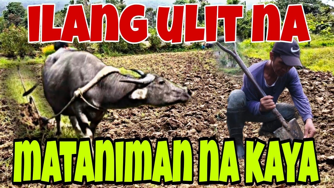 Hindi Titigil|Buhay sa Bukid