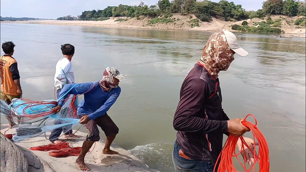 Ep.2ทอดแหจับปลาฤดูกาลปลาขึ้น ชาวบ้านพากันแห่มาจับปลาริมแม่น้ำโขงเยอะเลย