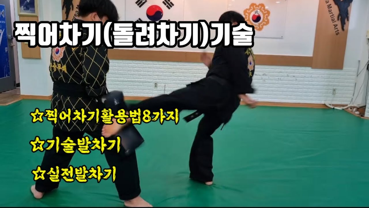 찍어차기(돌려차기)기술활용법 (korea martial arts)