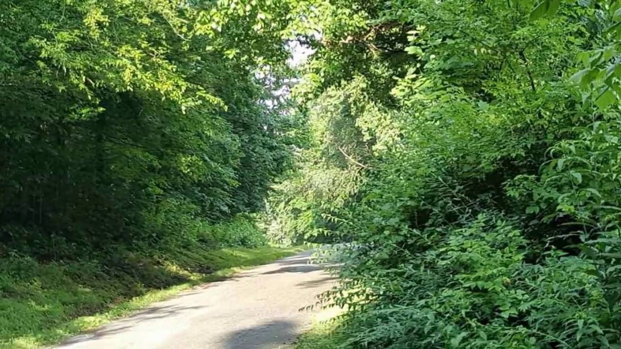 Real estate for sale in Sugar Tree Tennessee MLS 173175 YouTube