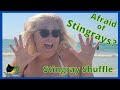 Are you afraid of Stingray? Well, let&#39;s do the Stingray Shuffle