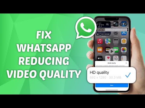 How to Fix WhatsApp Reducing Video Quality