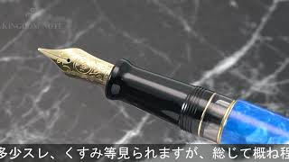 AURORA アウロラ 万年筆 リミテッドエディション マーレ M