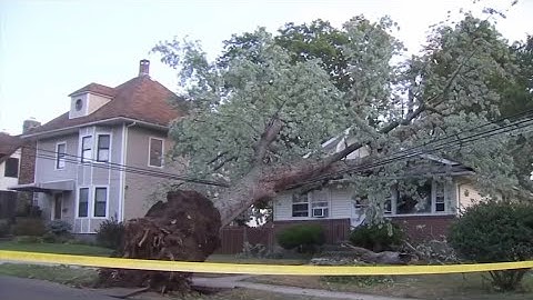 UConn researchers use AI in weather forecasting to predict power outages