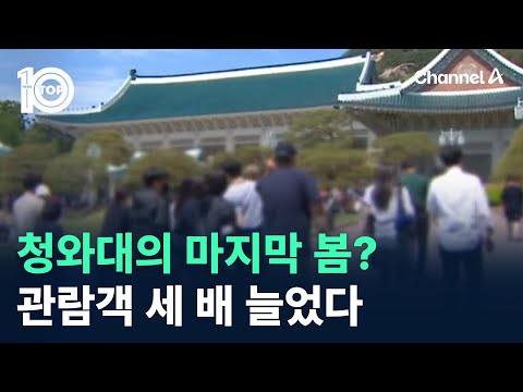 청와대의 마지막 봄?…관람객 세 배 늘었다 / 채널A / 뉴스TOP 10