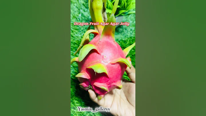 Dragon Fruit Agar Agar Jelly😍😍Iftar Receipes 😍😍