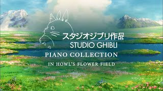 1 Hour Studio Ghibli Piano Collection in Howl's Flower Field (with Meadow Sounds)