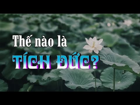 Thế nào là tích Đức? - Tinh Hoa TV chuyên đề