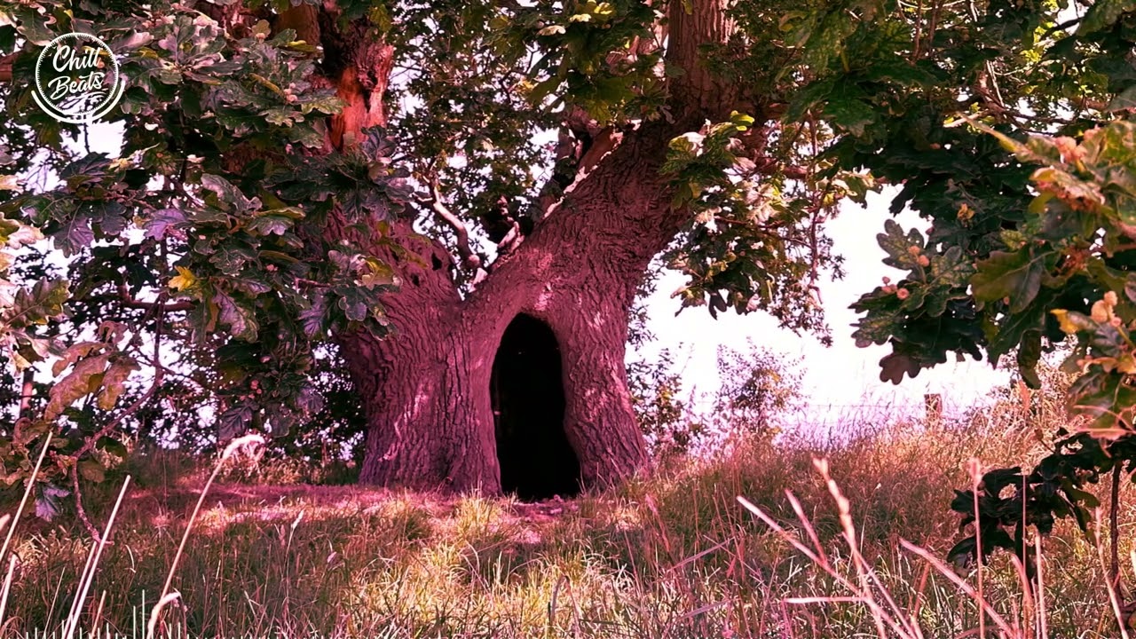 Chill Architect - Hidden Hollow