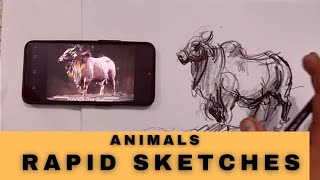 session -19 animals Rapid Sketch , fast drawing kaise kare , #kkrishankundara #pencilwala