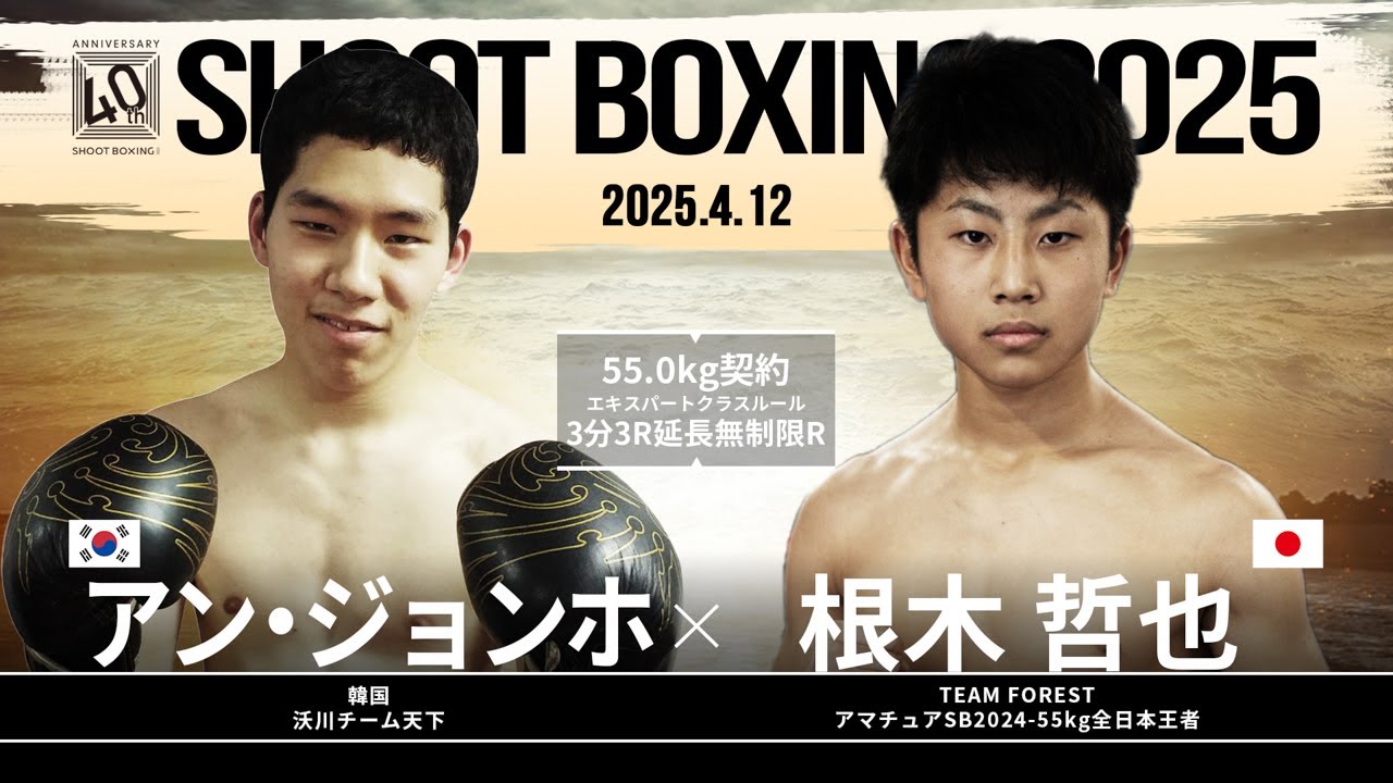 ボクシング パンフレット ナザロフ✕朴＆川島✕李チラシ Boxing