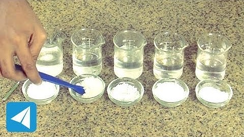 Compare solubility of salt, sugar and chalk | Solutions | Chemistry