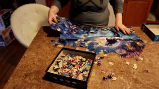 Taking Apart a Puzzle in Reverse