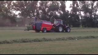 Cicoria Big Baler Hd870