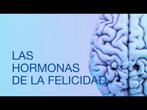 Vídeo: Hormonas Felices: Qué Son Y Cómo Impulsarlas