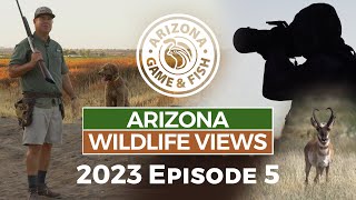 2023 Arizona Wildlife Views Episode 5 - 30 Minutes by Arizona Game And Fish 1,017 views 7 months ago 26 minutes