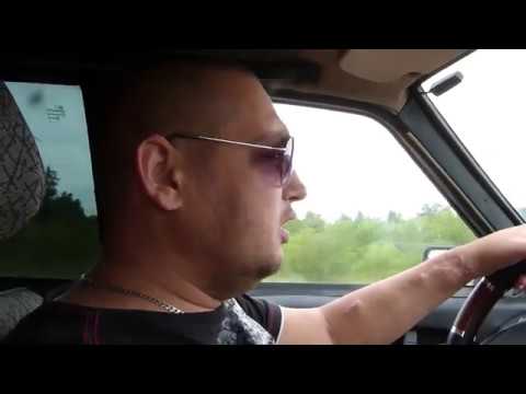 Иммунитет на хейтеров/Налетели коршуны/Наши розы