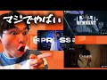 【GBB26】Loopstation Wildcard がマジでやばい