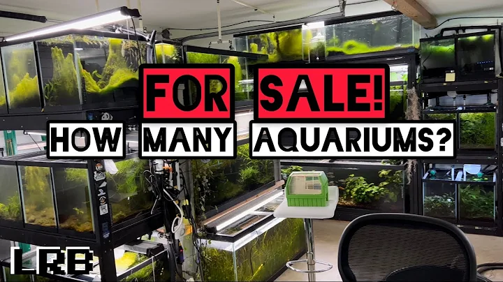 For Sale! Aquarium House Tour INSANE ROI!