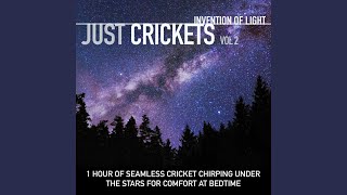 Soft Cricket Sounds by the Lake screenshot 5