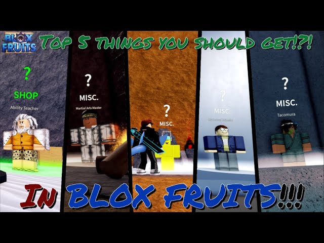 Blox Fruits) Top 5 things you should get in THIRD SEA! 