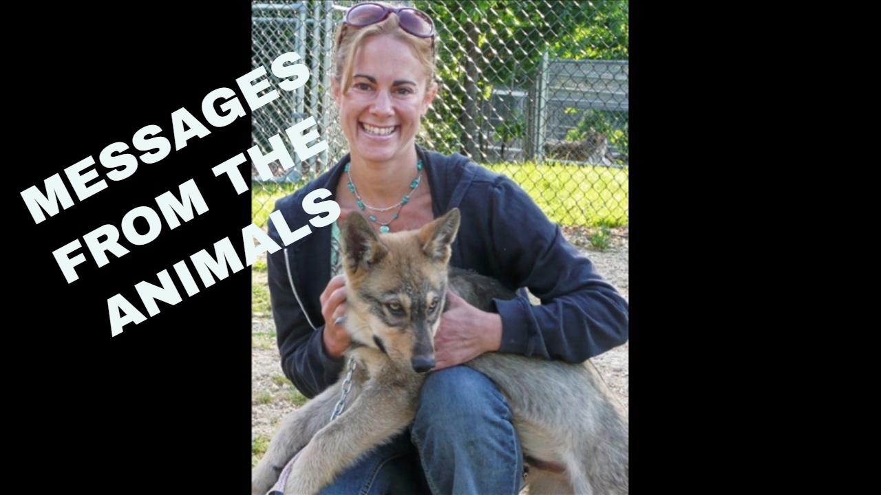 pet psychic near me Open your Heart - Messages from the Animals