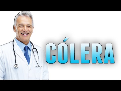 Vídeo: Cólera - Sintomas, Diagnóstico, Consequências E Tratamento Da Cólera