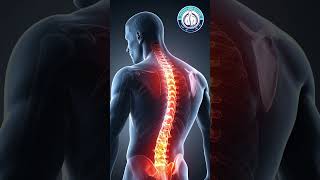 Early Warning Signs of Spinal Disorders in Young Adults