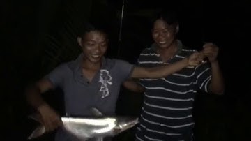 Câu cá tra sông vàm cỏ Đông , test cần mới câu đêm và cái kết