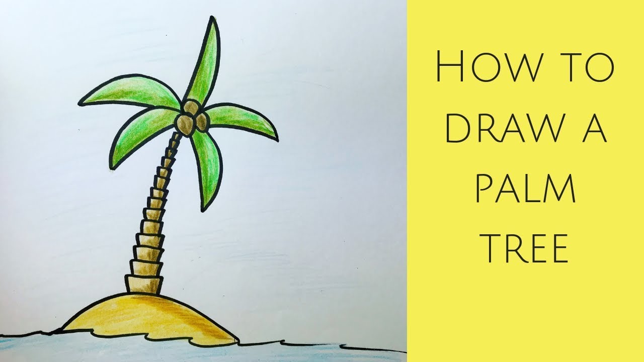 How to draw a palm tree - YouTube