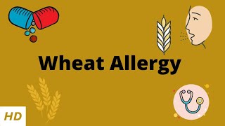 Wheat Allergy, Causes, Signs And Symptoms, Diagnosis And Treatment.