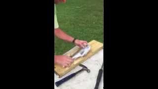 Fish Scaling done easy