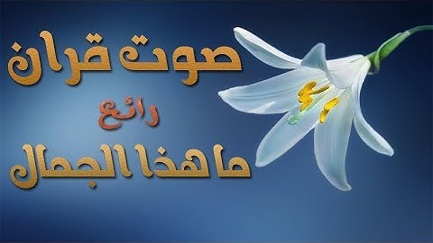 اجمل قراءة للقران الكريم قارئ العالم الأول تلاوة أسطورية يبدع ويتجلى