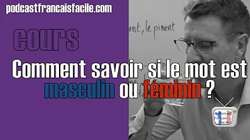 Quel est le sens du mot voile au féminin ?