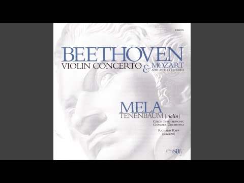 Rondo: Beethoven Violin Concerto III