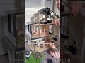 Tiny Land® Modern Family Dollhouse|Girls Play Idea|Home Decor|Indoor Activity #tinyland