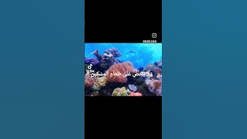 Surah Al Maun سورة الماعون.       sheikh Muhammad siddiq Al minshawi الشيخ محمد صديق المنشاوي