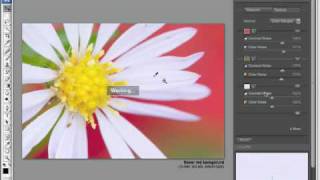 Nik Software original training -- Dfine Color Ranges Reduction Method screenshot 5