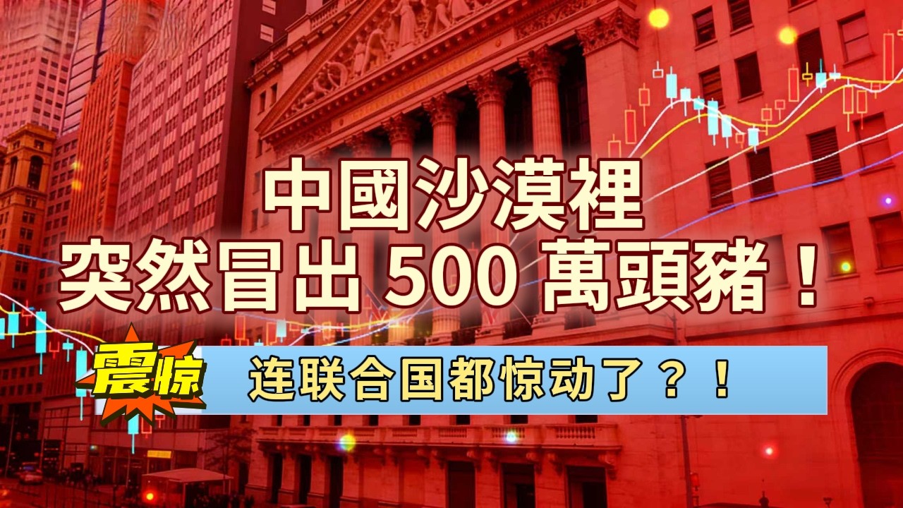 中國沙漠裡突然冒出 500 萬頭豬！它們不是來送死的，而是在悄悄解決全人類最頭疼的兩大難題，連聯合國都驚動了？！