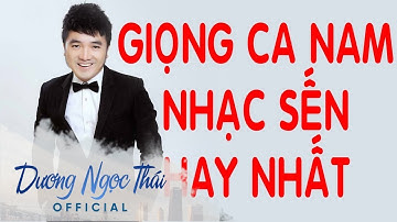 Dương Ngọc Thái | Tuyển Tập Những Ca Khúc Bolero Hay Nhất Của Dương Ngọc Thái