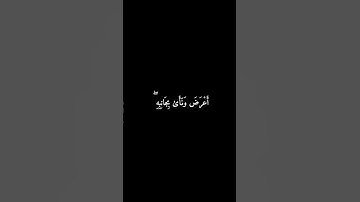 القارئ محمد الفقيه