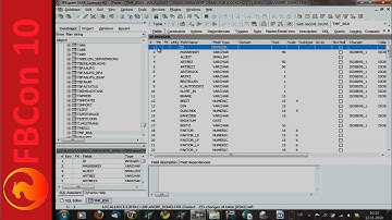 FBCon 10 session A12a: IBExpert licensing & integration