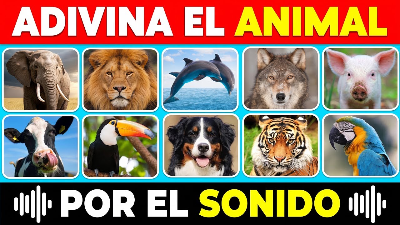Adivina el ANIMAL por el SONIDO 🔊 | Quiz de Sonidos De Animales - YouTube