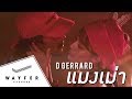 D GERRARD - แมงเม่า 【Official Video】