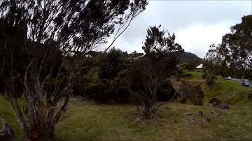 Dancing With Trees FPV Reunion Island