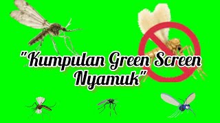 kumpulan green screen nyamuk || nyamuk bergerak || animasi nyamuk #greenscreenbergerak #nyamuk