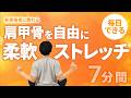 肩甲骨周辺のストレッチ｜毎日の習慣にオススメ【7分間】