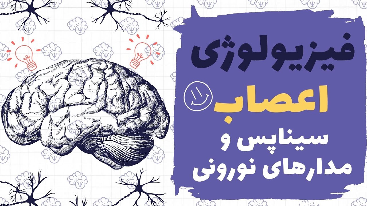 آموزش فیزیولوژی اعصاب؛نوروفیزیولوژی🧠| سیناپس و مدارهای نورونی