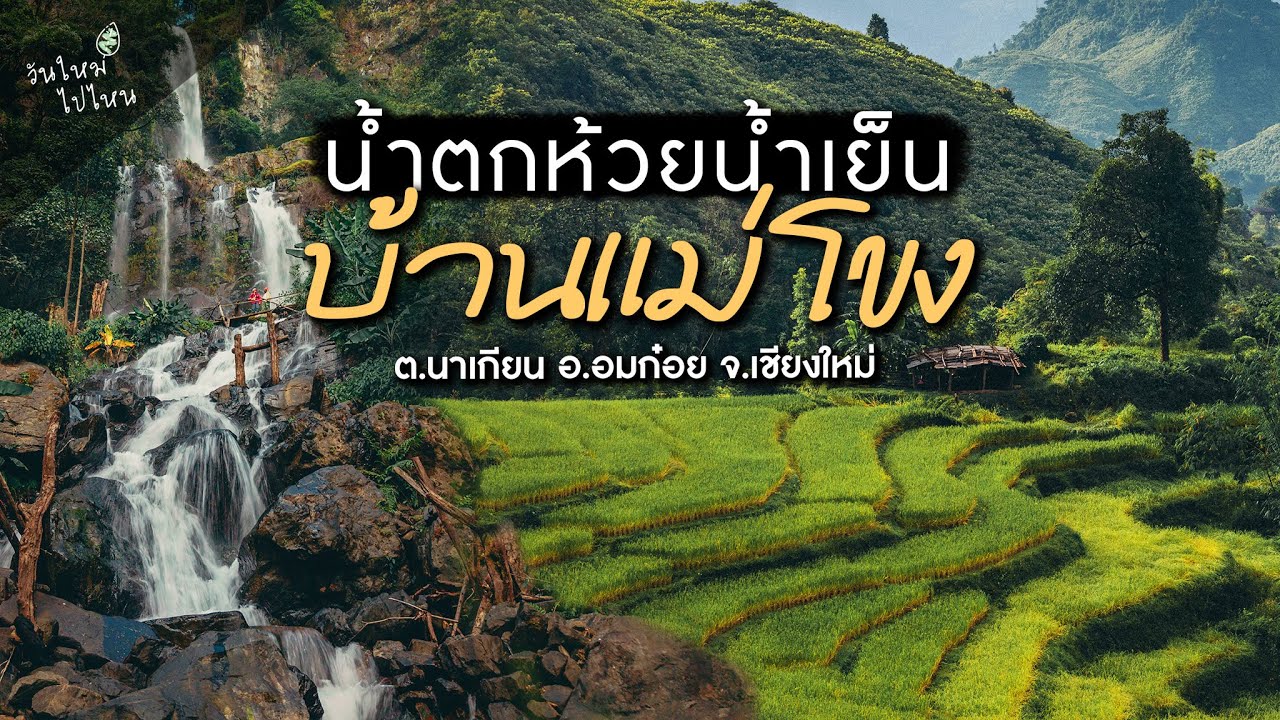 เดินป่า 